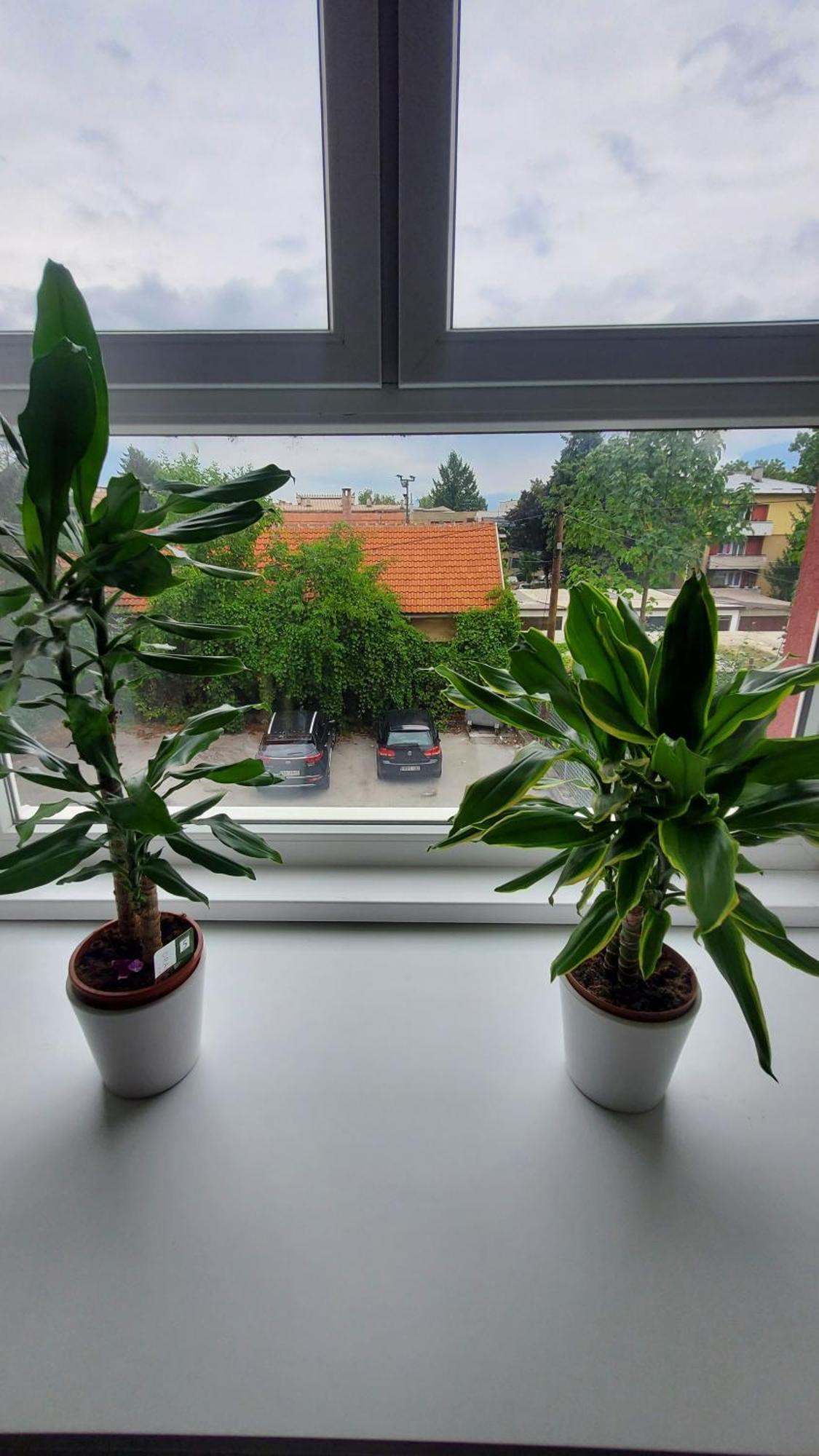Apartmani Blue I Green Bugojno Ngoại thất bức ảnh